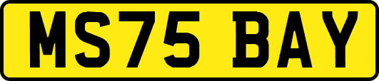 MS75BAY