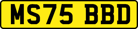 MS75BBD