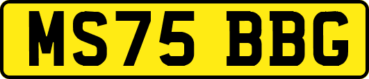MS75BBG