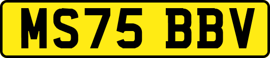 MS75BBV
