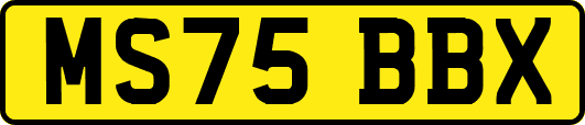 MS75BBX