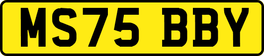 MS75BBY