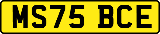 MS75BCE