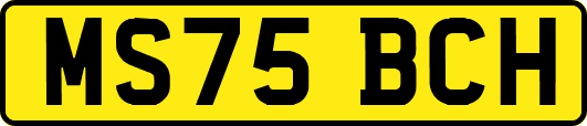 MS75BCH