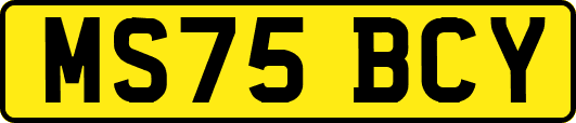 MS75BCY