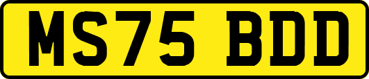 MS75BDD
