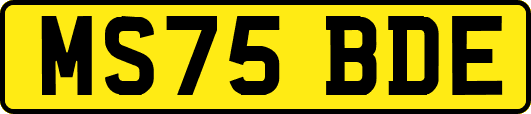 MS75BDE