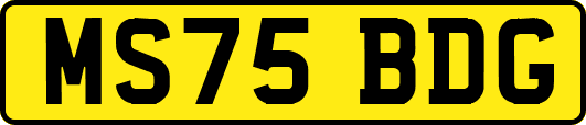 MS75BDG