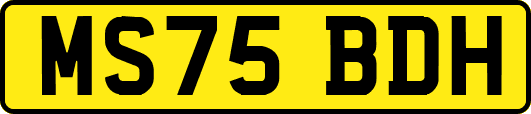MS75BDH