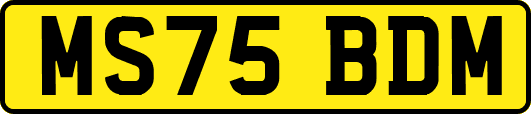 MS75BDM