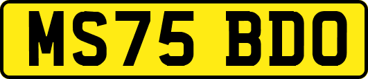 MS75BDO