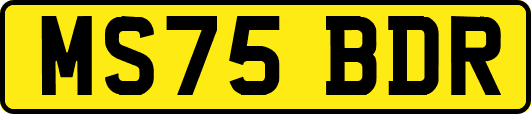 MS75BDR