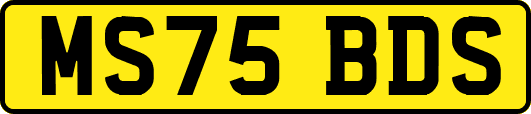 MS75BDS