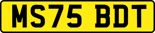 MS75BDT