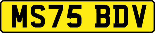 MS75BDV