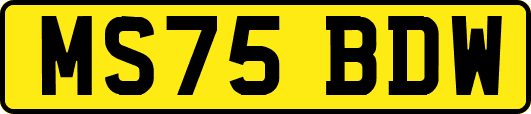 MS75BDW