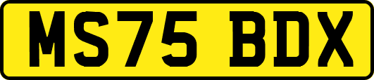 MS75BDX