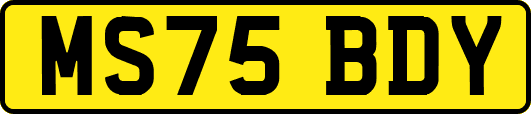 MS75BDY