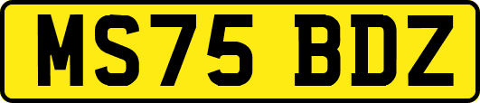 MS75BDZ