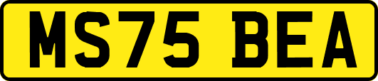 MS75BEA