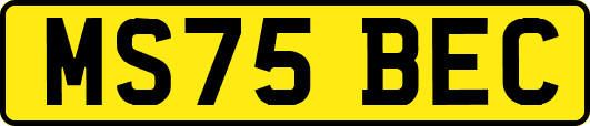 MS75BEC