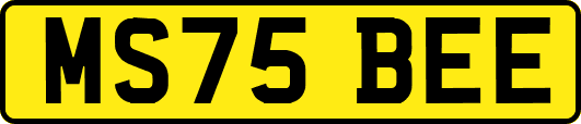 MS75BEE