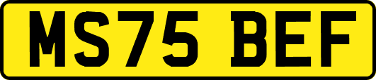 MS75BEF