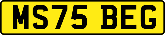 MS75BEG