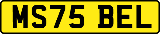 MS75BEL