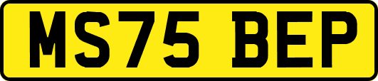 MS75BEP
