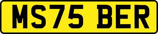 MS75BER