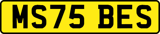 MS75BES