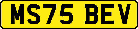 MS75BEV