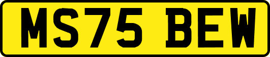 MS75BEW
