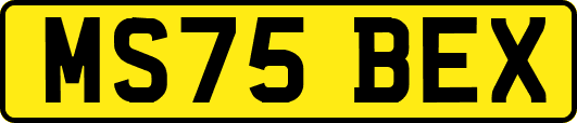 MS75BEX