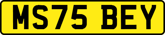 MS75BEY