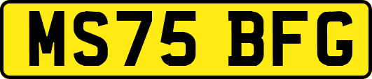MS75BFG