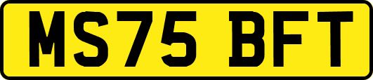 MS75BFT