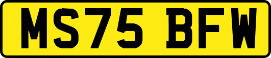 MS75BFW