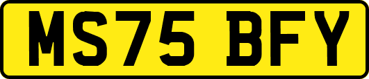 MS75BFY
