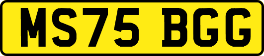 MS75BGG