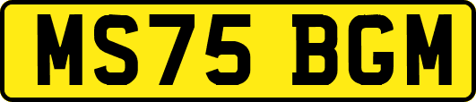 MS75BGM