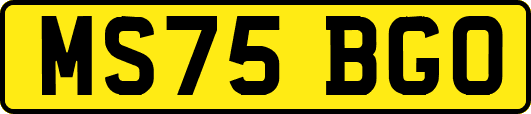 MS75BGO