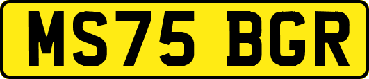 MS75BGR