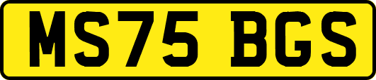 MS75BGS