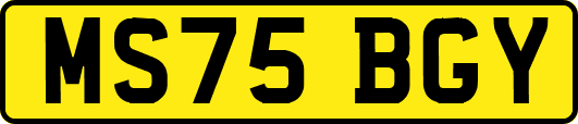 MS75BGY