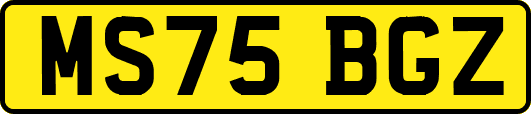 MS75BGZ