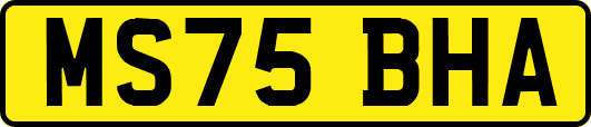 MS75BHA