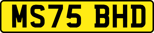 MS75BHD