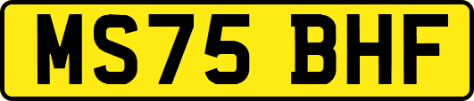 MS75BHF